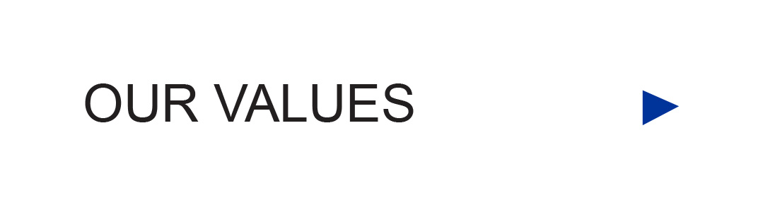 OUR VALUES