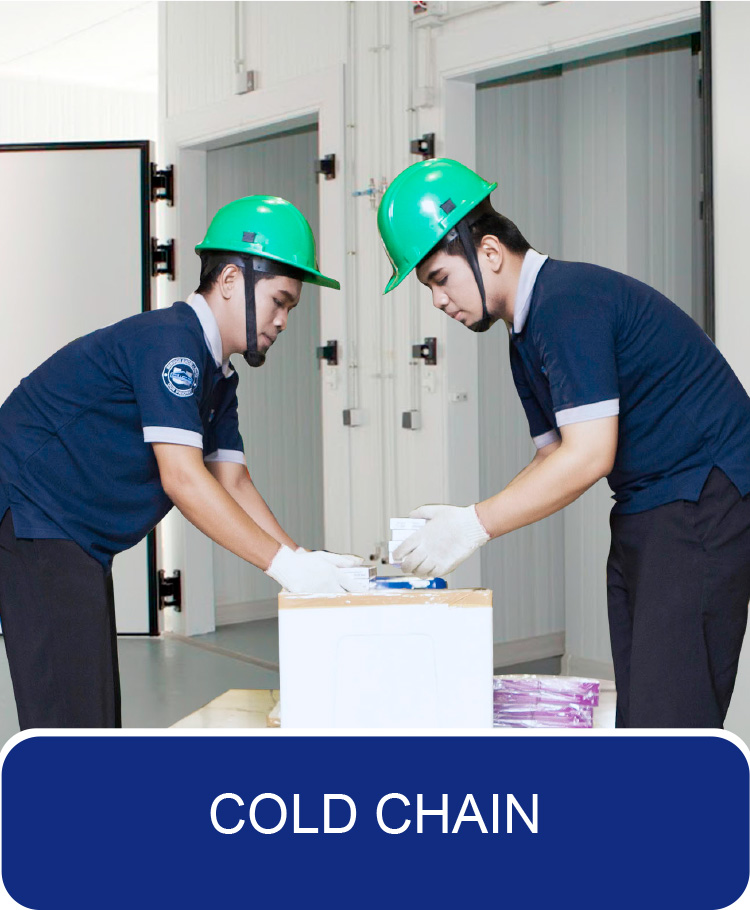 Cold Chain