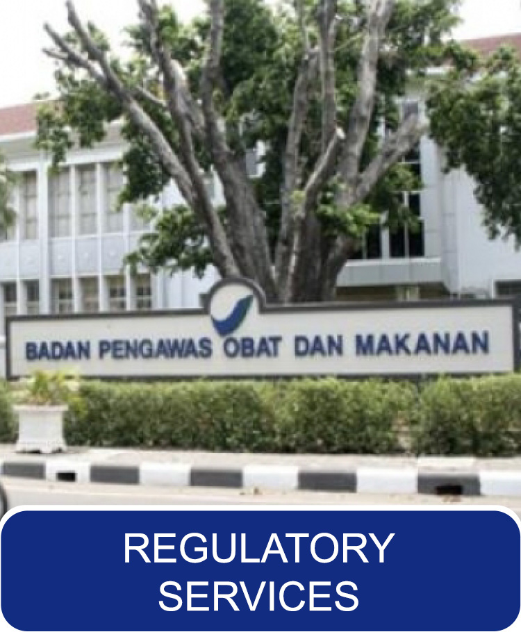 Regulatory Services